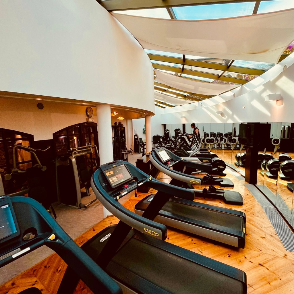 Modern gym interior featuring several treadmills, with large windows allowing natural light to illuminate the space.