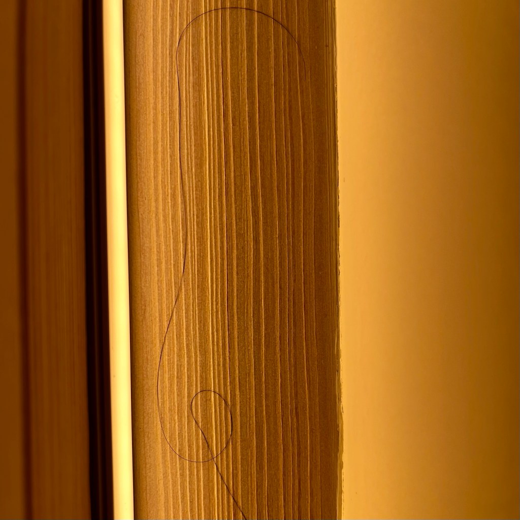 Close-up of a textured wooden surface with a subtle hair strand resting against it, illuminated by warm lighting.